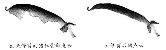 图 5　修剪前后的猪体背部点云对比