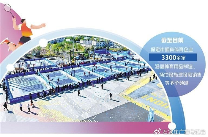 河北保定首届匹克球交流赛现场。 （资料图片）