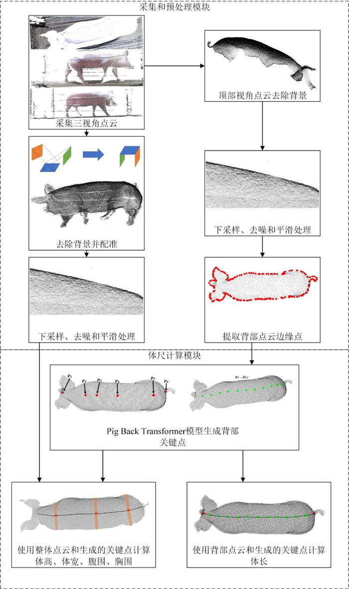 图 1　猪点云体尺计算的整体流程图
