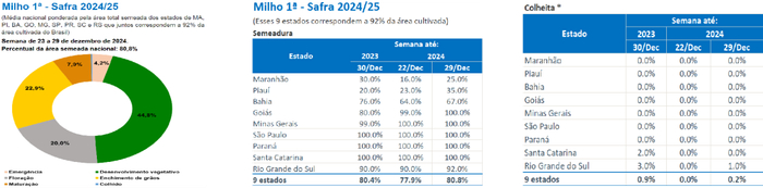 数据来源：CONAB、紫金天风期货研究所
