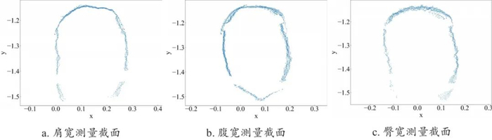 图 15　猪体宽计算过程中的肩宽、腹宽、臀宽的测量截面图