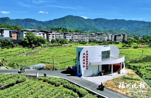 福州的茉莉花田。记者 石磊磊 摄