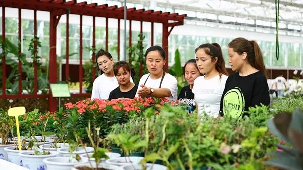 阿克苏职业技术学院生物工程学院园艺专业教师在温室大棚指导学生学习（2024年6月28日摄）。