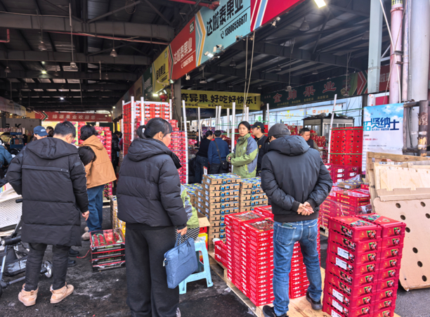 温州市水果批发交易市场车厘子一周销量400吨。市场供图