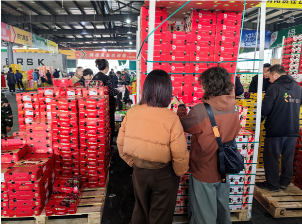 车厘子价格“大跳水”刺激了市民的消费欲望。市场供图