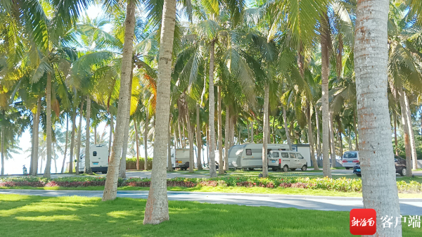 博鳌湾椰林里的房车露营。记者 苏桂除 摄