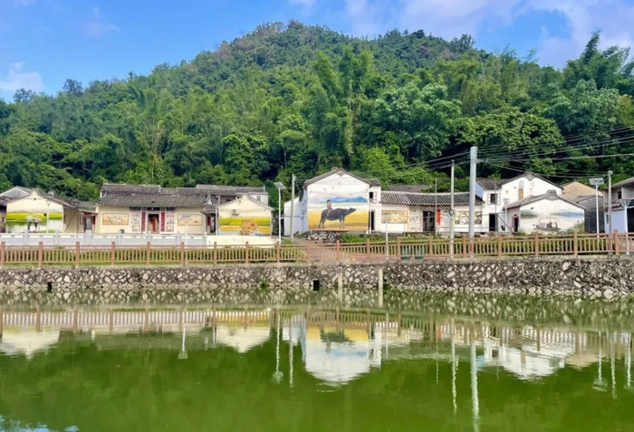 金光村农屋“颜值”大幅提升，乡村人居环境得到显著改善。（潮州日报全媒体记者 庄园 摄）