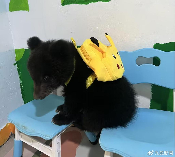 蔡如婷自费给崽崽买的书包。图/受访者提供