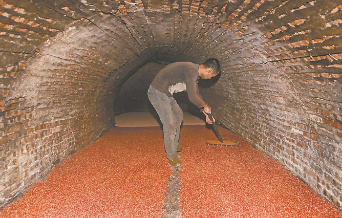 古窑是乌衣红曲的生产场所。刘冬春 摄