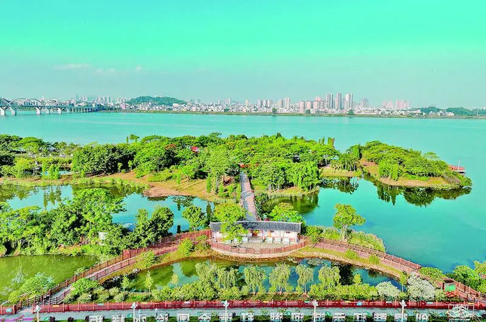 金山大桥湿地公园宛如城市中的一片绿色净土。（陈宏文 摄）