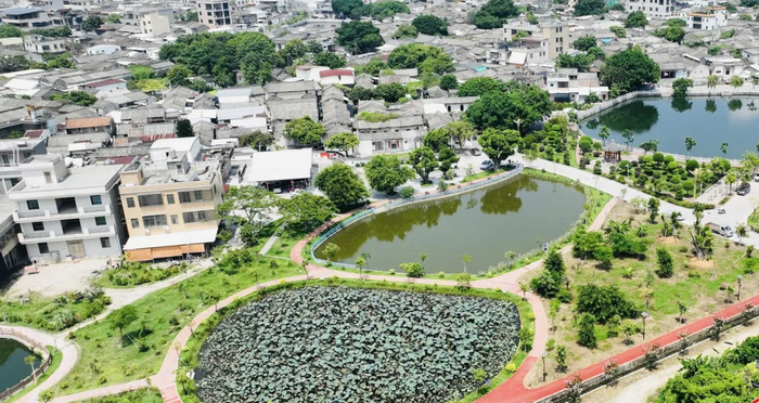 金石镇美丽圩镇“七个一”建设中的“一个绿美生态小花园”——董厝公园。（谢平勋 摄）