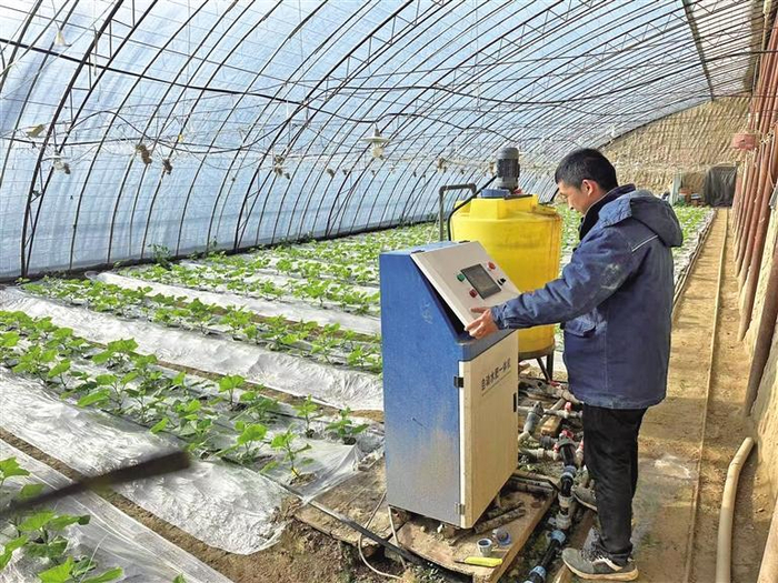 2024年12月27日，在延安市安塞区招安镇枣湾村，菜农在使用自动水肥一体机。
