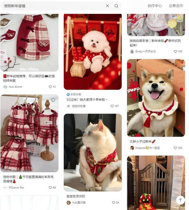 小红书平台截图 宠物穿新衣