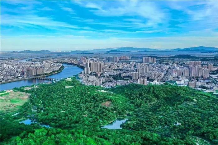 截至5月底，全市已完成林分优化面积6.5万亩。（潮之峰 供）