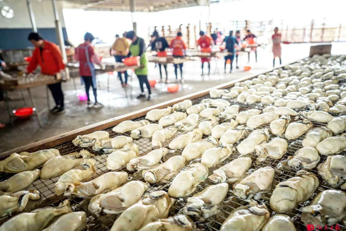 记者 施辰亮 摄