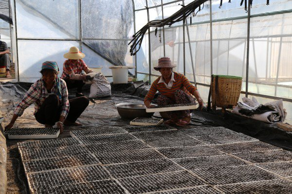 　　弥渡县融媒体中心 供图