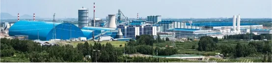 ▲ 临沂钢铁投资集团特钢有限公司平视