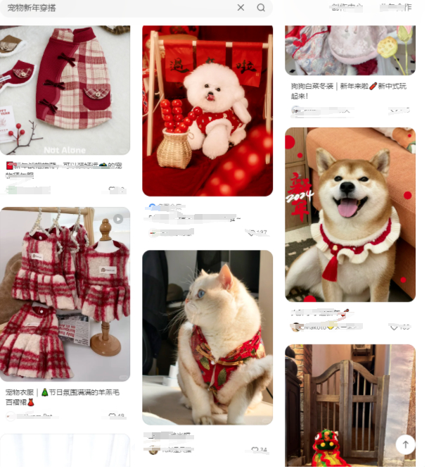 社交媒体平台截图 宠物穿新衣