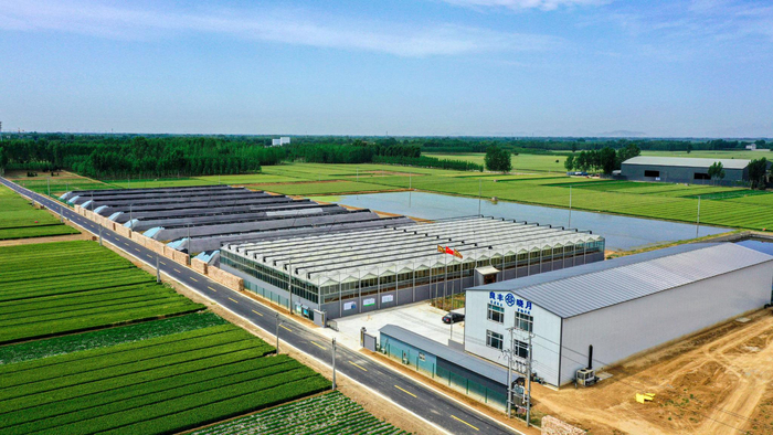 河北良丰晓月农业开发有限公司鸟瞰图。      资料片