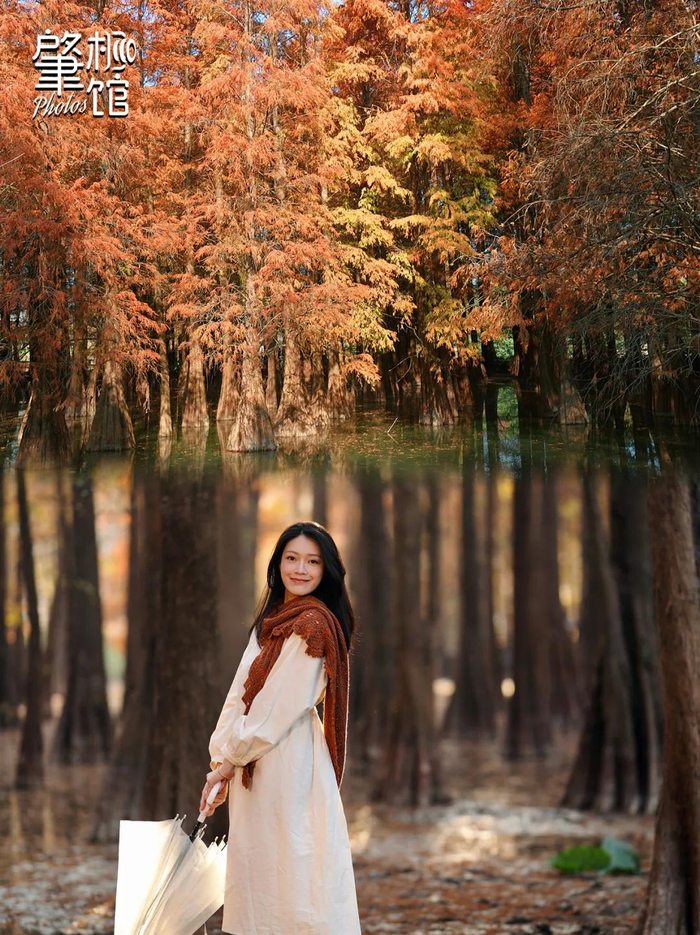 △  七星岩落羽杉吸引了众多游客打卡。梁亮 摄