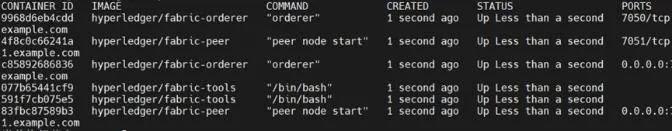 图5　Hyperledger Fabric网络启动状态