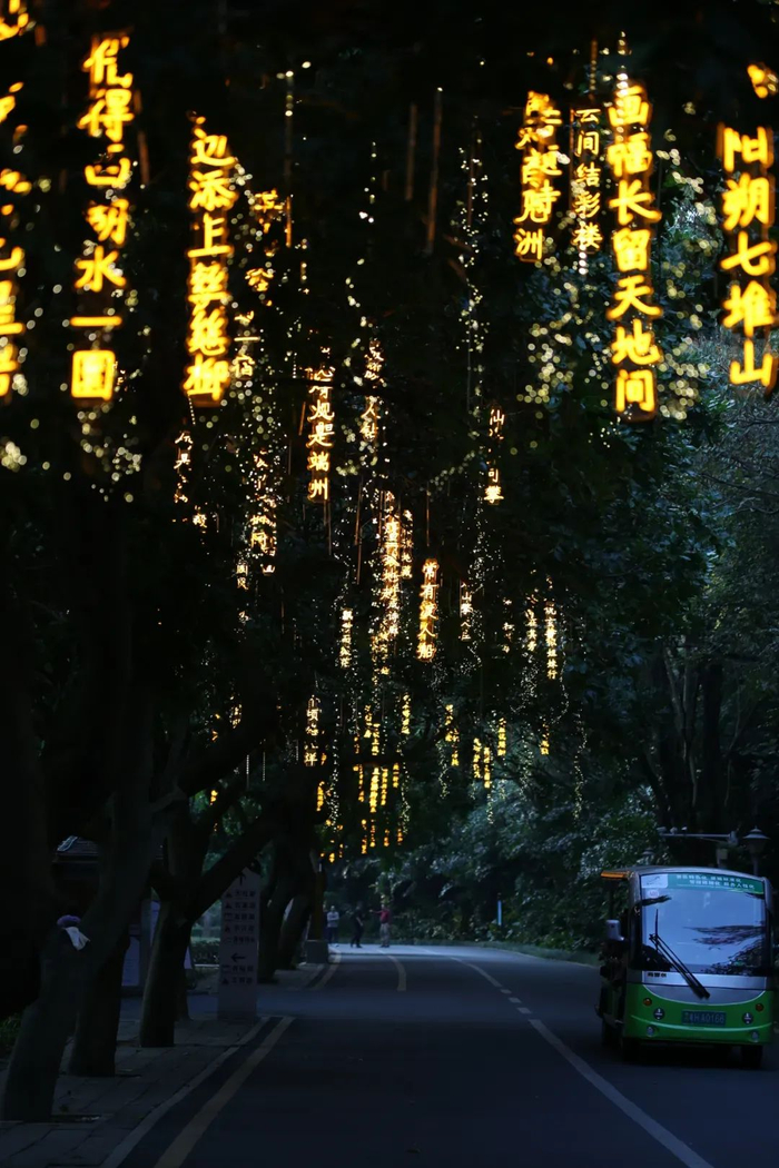 △ 星湖夜游灯光诗词。谢晖 摄