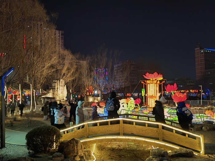 春灯会诗情画意。 王文郁/摄