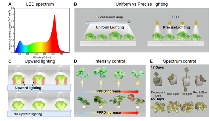 图2. 全人工光植物工厂空调系统节能设计
