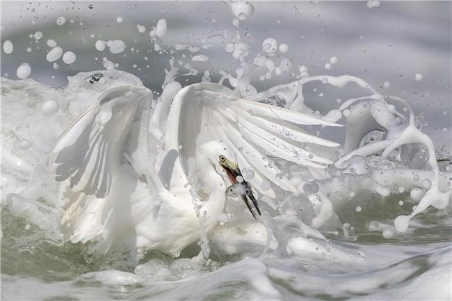 摄影爱好者作品,EOS R3+RF1200mm F8 L IS USM,摄影:肖戈