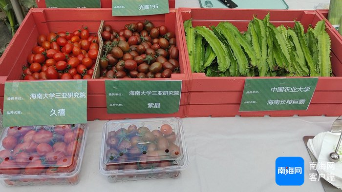 南繁科研成果转化助力乡村振兴成果展部分展品。记者 符彩云 摄