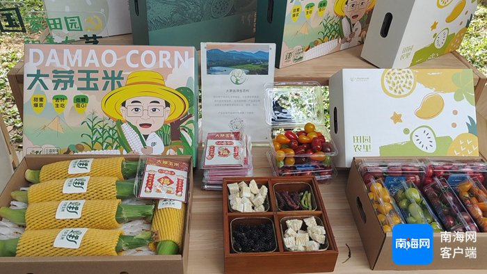 南繁科研成果转化助力乡村振兴成果展部分展品。记者 符彩云 摄