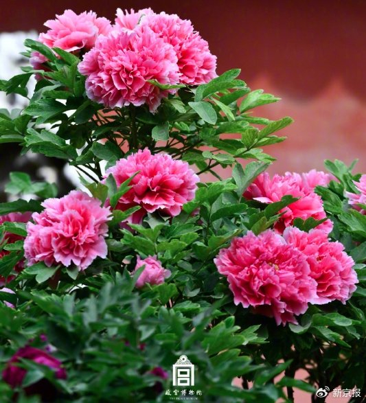 △图源/故宫博物院