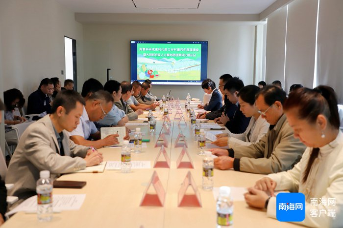 　专家座谈会现场。吉阳区委组织部供图