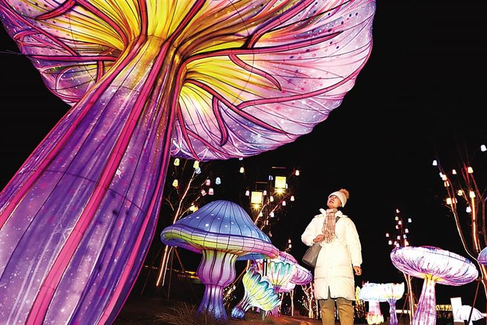 夜色斑斓，花灯璀璨。