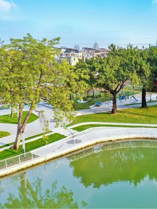 西海大涌岸线整治项目。图/顺德发布