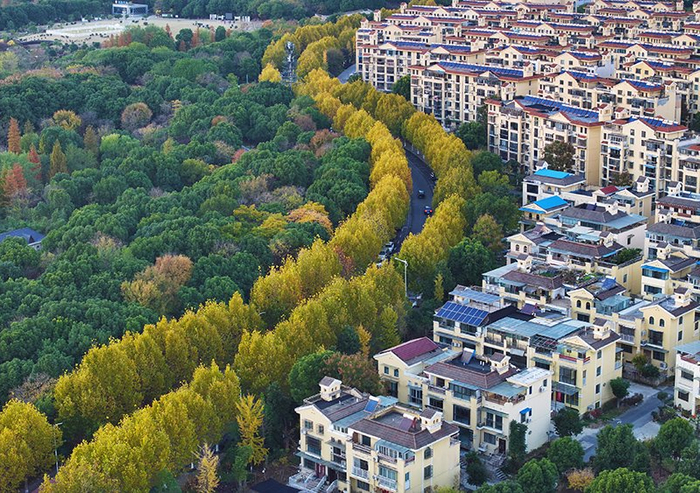 情暖人心通万家。鸠江区委宣传部供图