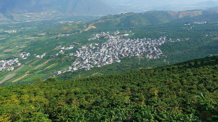 （保山市隆阳区潞江镇新寨村 李亚 摄）