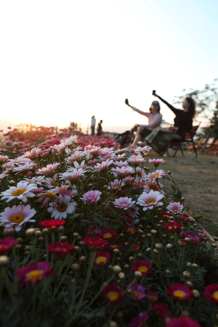 1月7日，在景洪市江北街道“雨林十里春风”露营地，游客享受冬日里的惬意时光。新华社发（李云生摄）