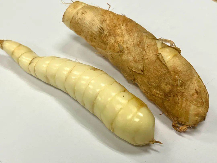 竹薯。图片来源于网络