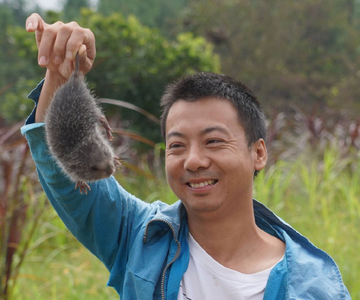 图片来源于网络