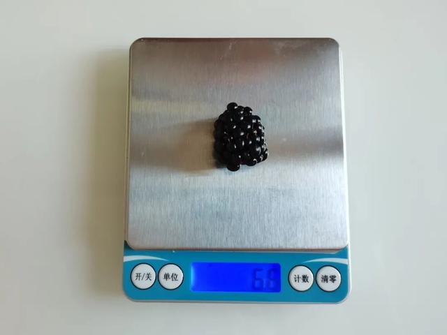 1 颗黑莓约 6 克丨薛庆鑫摄