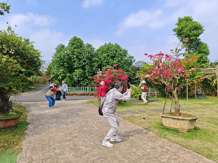 游客在景区内观光打卡。记者 苏桂 摄