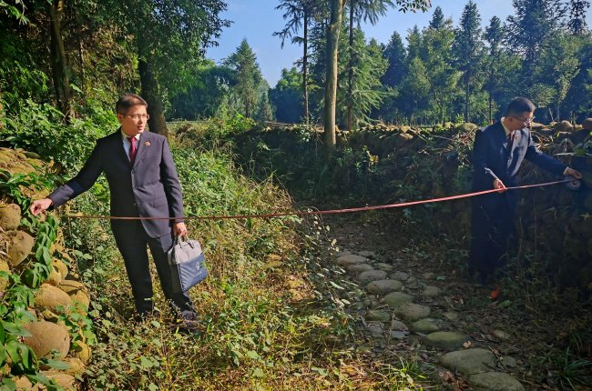 2024年11月，邛崃市检察院检察官现场勘查茶马古道骑龙山段保护情况。