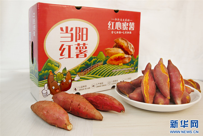 图为当阳红薯。新华网发