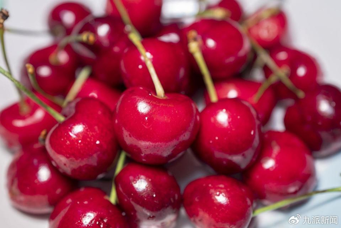 智利车厘子。图/VCG