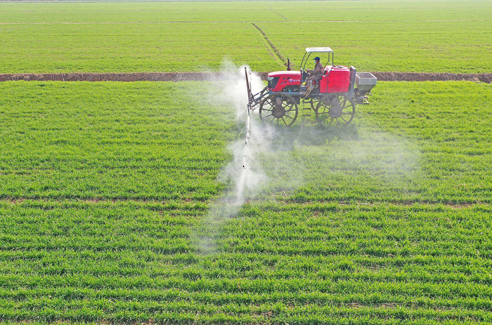 安徽安庆：小麦冬管正当时  叶面施肥喷药作业有序进行