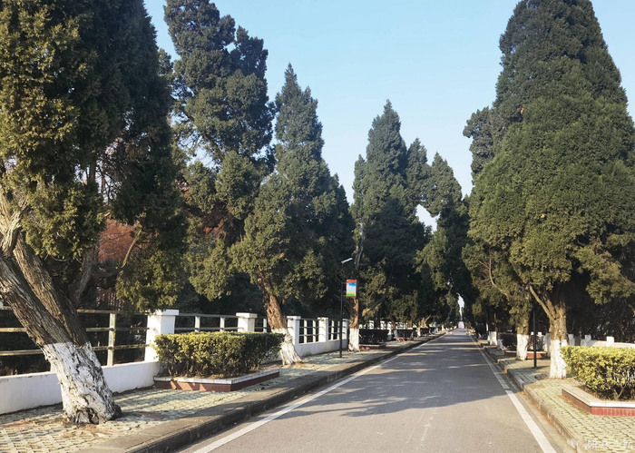 北闸入口，绿树相迎