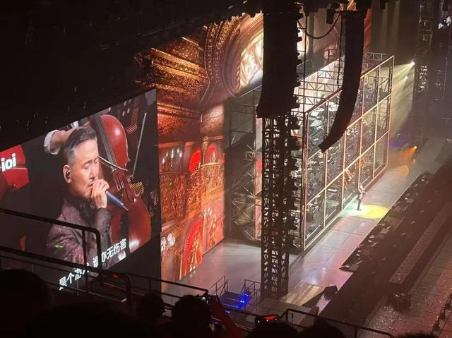 卢阿姨现场拍摄的张学友演唱会 受访者供图