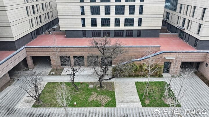 这是位于雄安新区容东片区内的“乡愁树”（2024年3月27日摄）。新华社记者 牟宇 摄