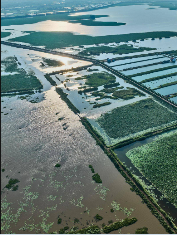 崇湖国家湿地公园 （湖北日报全媒记者 刘曙松 摄）